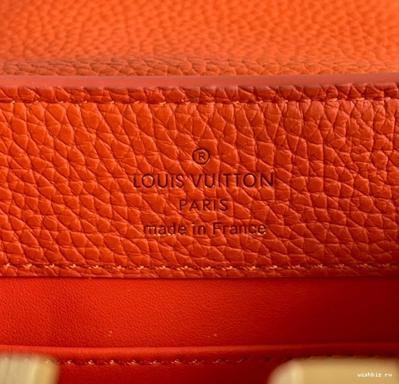 WIS VUITTON CAPUCINES MINI LOUIS 0111